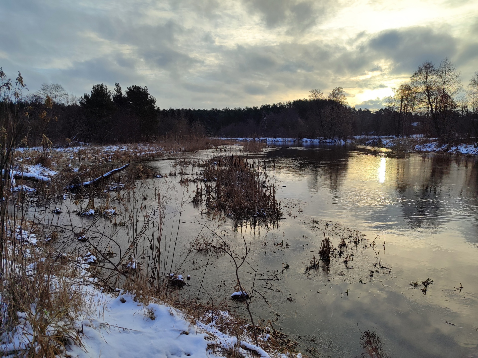 Zimowy świt nad rzeką Świder — śnieg, trzciny i tafla wody